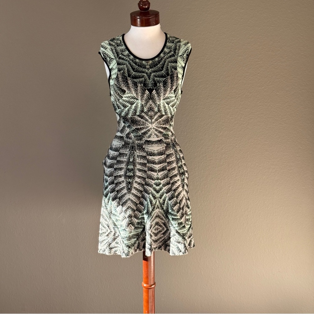 Ronny Kobo Mint Green Black Fit & Flare Sleeveless Stretch dress Sz Small